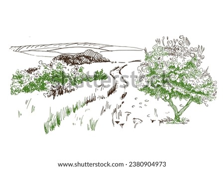 Green grass field on small hills. Meadow, alkali, lye, grassland, pommel, lea, pasturage, farm. Rural scenery landscape panorama of countryside pastures. Vector sketch illustration
 Royalty-Free Stock Photo #2380904973
