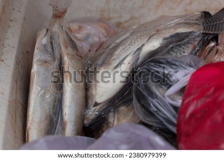 Fresh squid and fish in plastic bags are sold in traditional markets