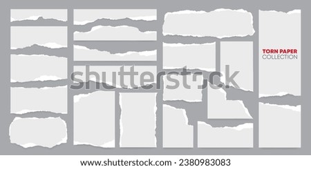 Realistic vector torn or ripped paper strip and newspaper clip art collection. Office notebook scrap, grunge note and scrapbook page border set. White torn paper or label for social media background.