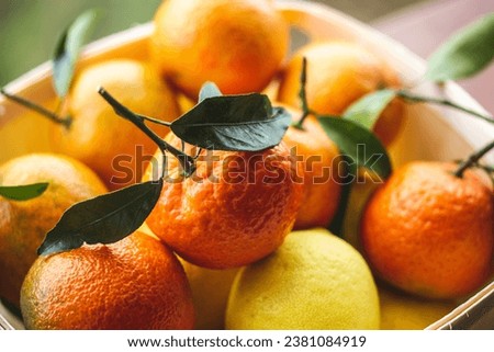 A wooden box with ripe juicy Spanish oranges from orchard. Harvesting citrus fruits. Fresh fruit with vitamin C close up. Summer harvest. Food blog lifestyle. Plantation with citrus trees, lemons. Royalty-Free Stock Photo #2381084919