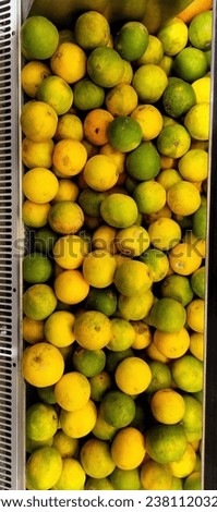 Fresh Lime in the store 