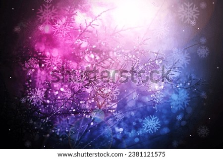 Pine tree in gardient color with snow drop for winter or christmas celebration background.