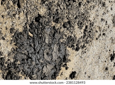 the texture of the rock is a very interesting texture.