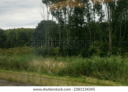 Green outskirts in Dutch, Netherlands, Europe Royalty-Free Stock Photo #2381134345