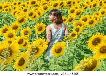 Asian Woman in the sunflowers field. Summer time. Sunny Beautiful woman standing in sunflower field. Happy woman, enjoying warm weather, walking in blooming sunflower field. Active lifestyle.
