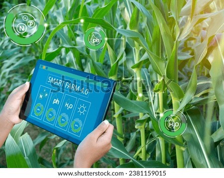 Smart Farming with IoT. Growing Corn Seedlings with Infographics. Smart Farming and Precision Agriculture 4.0, farmer hand holding tablet in corn field. Royalty-Free Stock Photo #2381159015