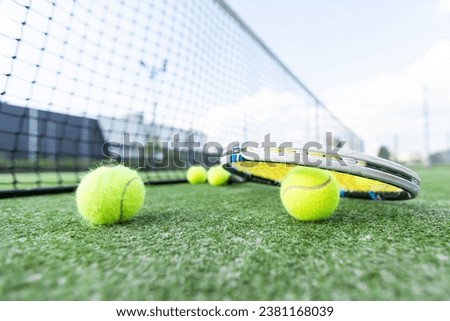 tennis ball on the background of the net lies after the fall. 