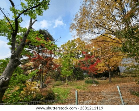 
Autumn foliage scenery in Korean mountains.