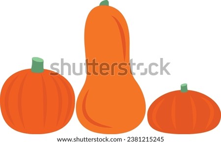Pumpkins vector image or clip art