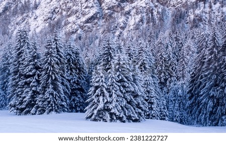 a frosty morning in the Alps in winter Royalty-Free Stock Photo #2381222727