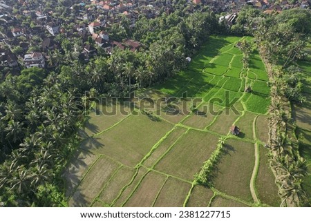 Aerial view of Subak Juwuk Manis Rice fields and Ubud town on sunny day. Bali, Indonesia.