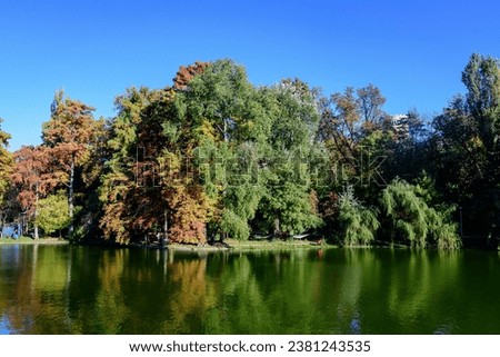Landscape with many large green trees near the lake in Carol Park in Bucharest, Romania,  in a sunny autumn day