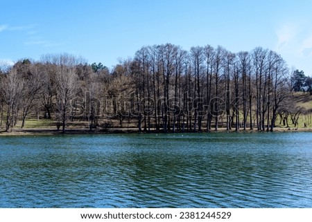 Landscape with large old trees near the lake in Tineretului Park (Parcul Tineretului) in Bucharest, Romania, in a sunny winter day Royalty-Free Stock Photo #2381244529