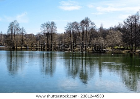 Landscape with large old trees near the lake in Tineretului Park (Parcul Tineretului) in Bucharest, Romania, in a sunny winter day Royalty-Free Stock Photo #2381244533