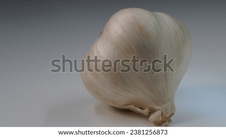 Garlic (Allium sativum): The heart of Italian culinary tradition. White garlic from Polesine close up.
