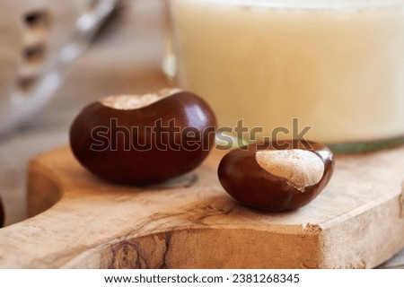Fresh horse chestnuts with a jar of ointment in the background Royalty-Free Stock Photo #2381268345