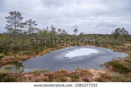 Konnu Suursoo, Estonia - October 29 2023: Typical bottomless bog with treacherous soft peat moss mattress shores. First frost has covered the water with thin ice. Cloudy sky over Estonian wilderness.