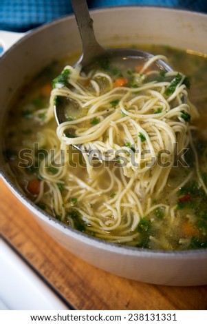 Homemade Chicken Noodle Soup with Carrots and Parsley