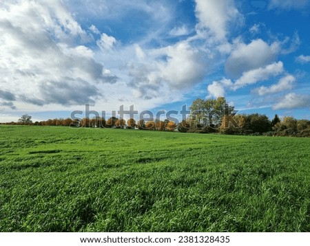 landscape with green meadow and cloudy sky during autumn
