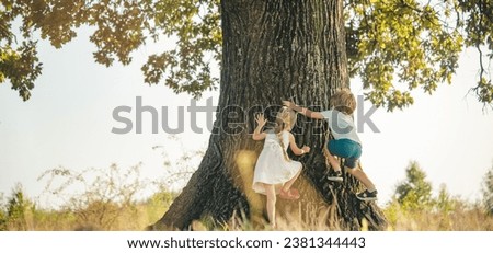 Spring banner. Happy children on countryside. Climbing trees children. Little boy and girl climbing high tree. Funny brother and sister. Royalty-Free Stock Photo #2381344443