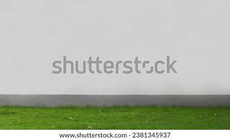 empty white wall with the green grass. Picture for use in Background image or copy space