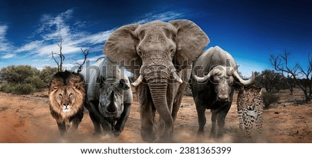 African Big Five Landscape Nature Color Royalty-Free Stock Photo #2381365399