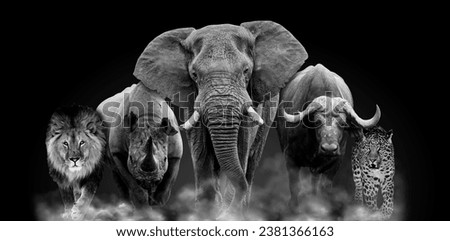 African Big Five Landscape Nature Black Royalty-Free Stock Photo #2381366163