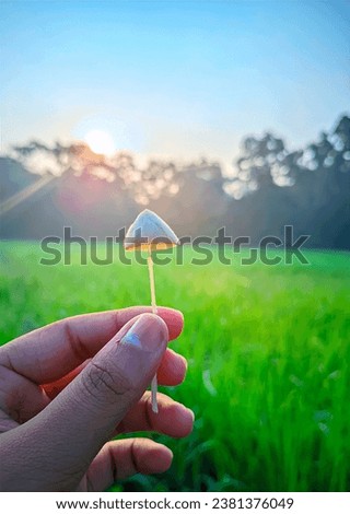 A mushroom with a blurry background. A hand holding a mushroom on a stick. A blue sky with a few clouds. A mushroom with a stick. Nature portrait picture. 
