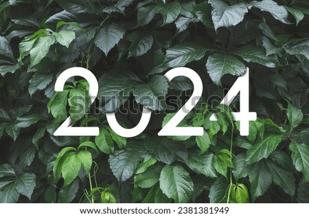 2024 New year white text hidden in natural green leaves wall