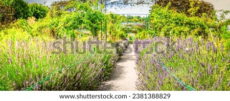 Gverny green garden gallery withlavender flowers and gallery, web banner format Royalty-Free Stock Photo #2381388829