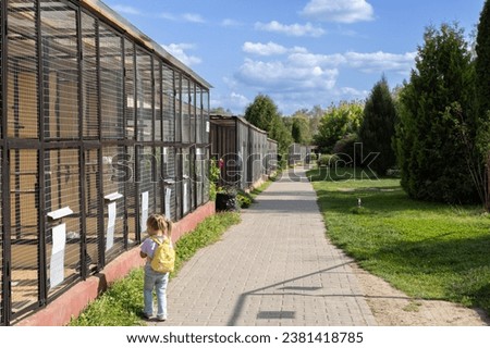A small child girl walks around the zoo and looks with interest into the cages with exotic birds. A child and his parents came to the bird park and are enjoying the weekend. Royalty-Free Stock Photo #2381418785