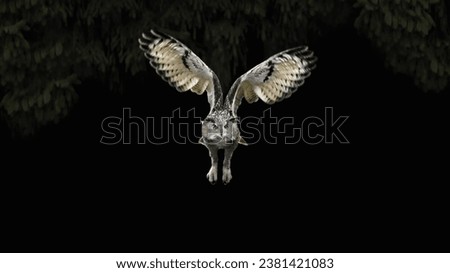 An Eurasian eagle-owl (Bubo Bubo ) flying towards the camera, dark forest with fir trees in the background, black background, copy space, negative space, minimalism, 16:9