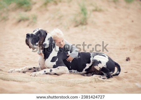 Little blonde girl with great dane on the sand beach in summer  Royalty-Free Stock Photo #2381424727