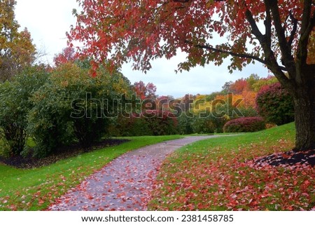 Colorful fall autumn picture with bright colorful fallen leaves of red, brown, gold, orange, purple, pink on trial surrounded by colorful trees and bushes, blue hazy sky woods trees and path. 