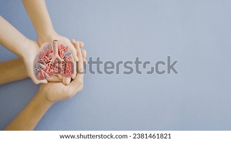 Hands holding anatomy lung, world tuberculosis tb day, world no tobacco day, lung cancer,COPD, organ donation concept Royalty-Free Stock Photo #2381461821