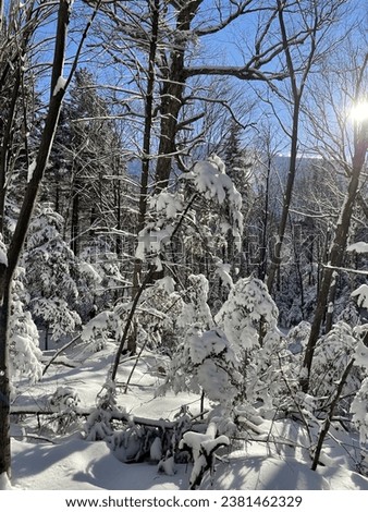 Hike to Mount Washington, New Hampshire - snowy hike - winter landscape