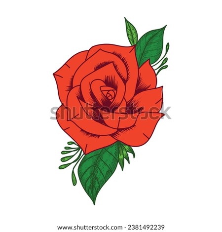  red rose vector isolated on white background