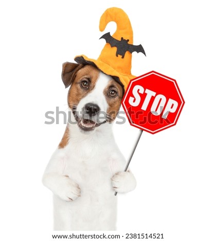 Jack russell terrier puppy wearing hat for halloween shows stop sign. isolated on white background