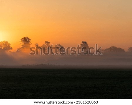 Landscape with meadows and a single tree on the meadow in the fog in autumn at sunrise and orange sky