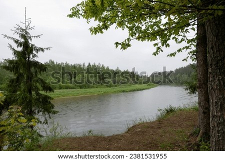  View of the Gauja River in rainy weather. Latvia. Cesis. 