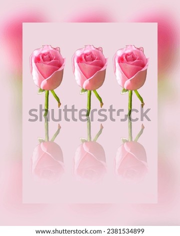 Pink, red or rose flowers, floral background for backdrop design.