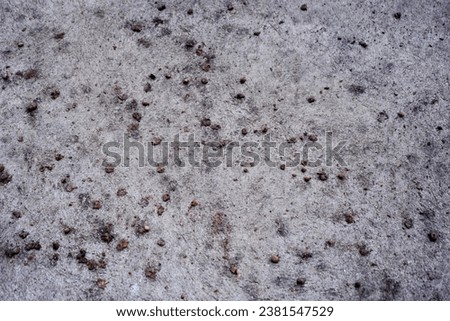 a close up of the seeds on a concrete surface.