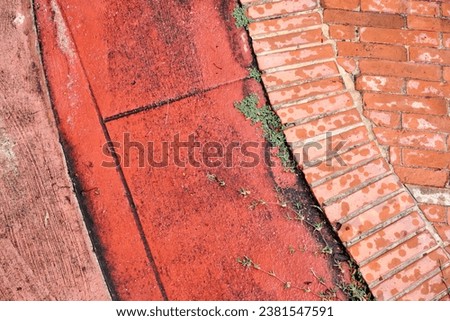 a red brick sidewalk with a few weeds growing through it.