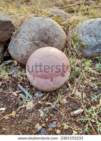 A photo of a plastic ball in the garden, the picture was taken in the morning.
