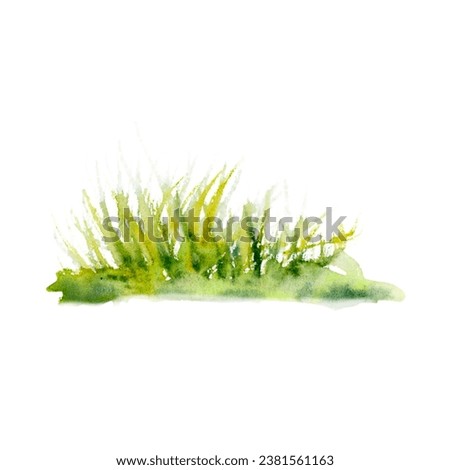 Watercolor aquarelle drawing of coastal grass dark and light green. Scillfully painted illustration of fishing grass isolated on white background. For logo cards textile print stickers posters picture