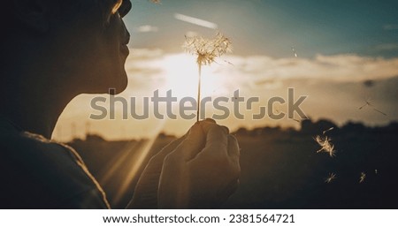Close up of people blowing big dandelion flower with sunset light and field in background. Outdoor leisure activity and nature love concept lifestyle. Freedom and daydreaming. Daydreamer person Royalty-Free Stock Photo #2381564721