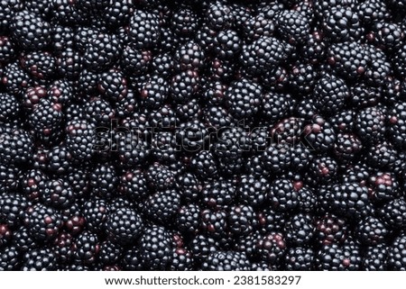Many tasty ripe blackberries as background, closeup Royalty-Free Stock Photo #2381583297