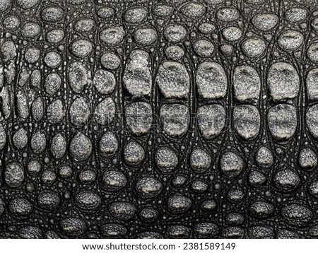 close up crocodile skin texture background