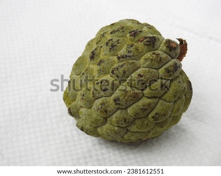 Closeup of Green Color Indian Sugar apple or Sitaphal Fruit isolated on white Background