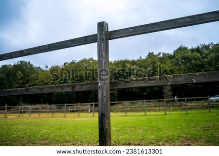 A wood fence and green grasses in the beautiful horse area